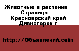  Животные и растения - Страница 4 . Красноярский край,Дивногорск г.